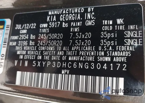 2022 Kia Telluride Ex из США, поврежденный, VIN 5XYP3DHC6NG304172